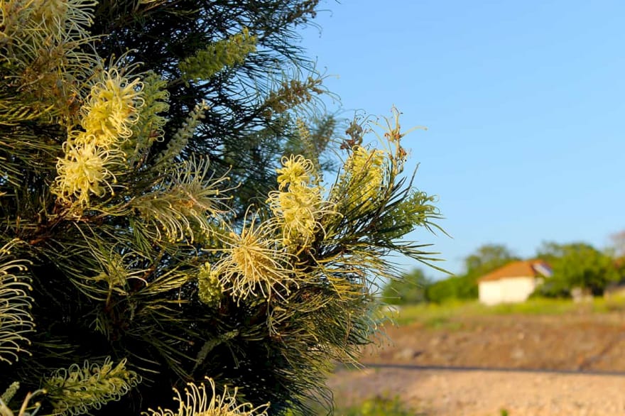 בית במושב אניעם