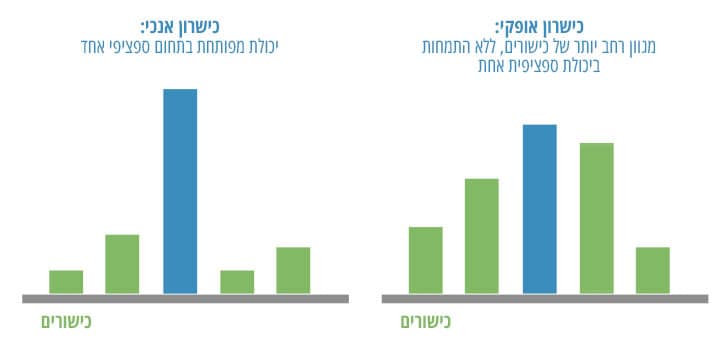 ענן כישורים