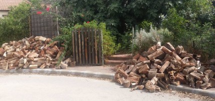 ערימות עצים בכניסה לבית שלנו