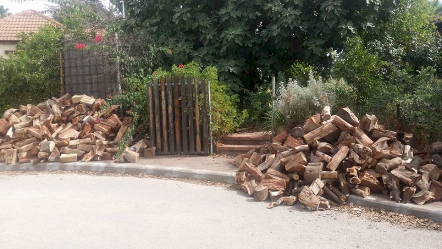 ערימות עצים בכניסה לבית שלנו
