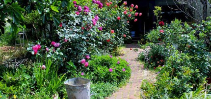 הבית שלנו באניעם הכניסה לבית שלנו באניעם