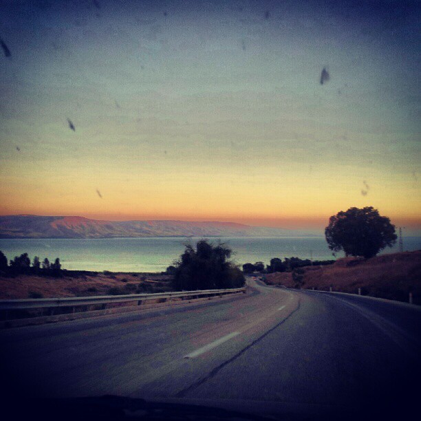 כינרת כינרת