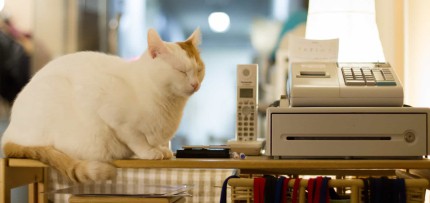 שחיקה (אילוסטרציה)