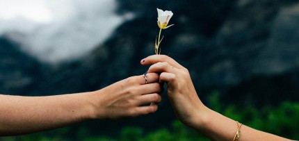 צילום של גבר ואשה מחזיקים פרח (צילום: unsplash / CC0)