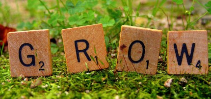 להגדיל עסק איך להגדיל עסק בקלות