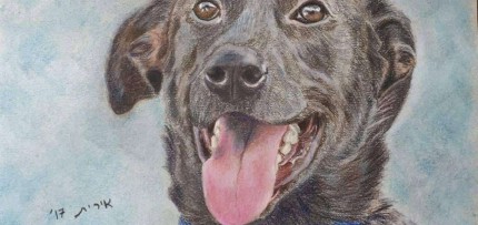 ציור של אירית ישראלי אירית ישראלי עבור תנו לחיות לחיות