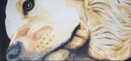 ציור של אירית ישראלי עבודת אמנות של אירית ישראלי