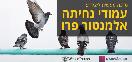 סדנה מעשית ליצירת עמודי נחיתה אלמנטור פרו