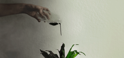 יד שופכת נוזל שחור על צמח (צילום: unsplash / CC0)