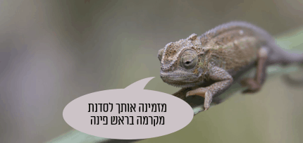 זיקית מזמינה לסדנת מקרמה (עיבוד מחשב) (CC0)